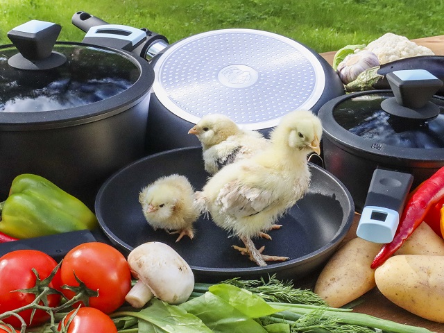 Кухонная посуда PLOVER уже в продаже