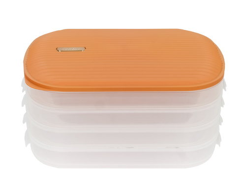 Контейнер с крышкой для хранения и заморозки продуктов на 4 секции, 32х22х16 см, оранжевый