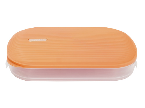 Контейнер с крышкой для хранения и заморозки продуктов на 1 секцию, 32х22х6 см, оранжевый