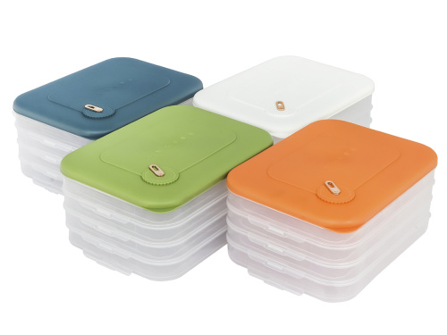 Контейнер с крышкой для хранения и заморозки продуктов на 4 секции, 30х23х14 см, зеленый