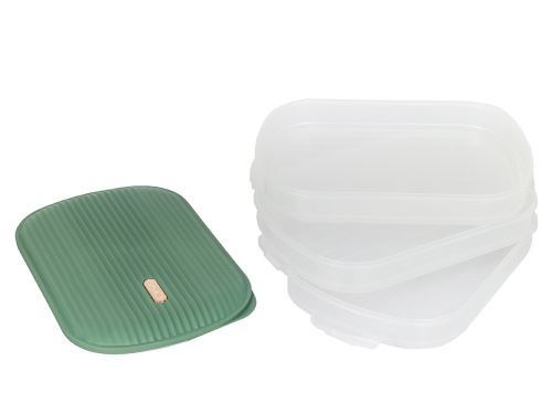 Контейнер с крышкой для хранения и заморозки продуктов на 3 секции, 32х22х13 см, зеленый