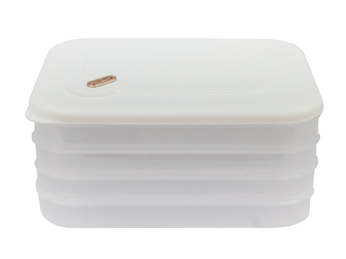 Контейнер с крышкой для хранения и заморозки продуктов на 4 секции, 30х23х14 см, белый