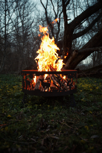 Костровище “Лес”, d60, "Стальные решения"