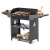 Гриль-мангал Gratar Family Standart Grill FSG 2000 Гриль-мангал Gratar Family Standart Grill FSG 2000