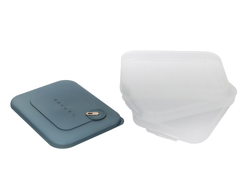 Контейнер с крышкой для хранения и заморозки продуктов на 3 секции, 30х23х11 см, синий