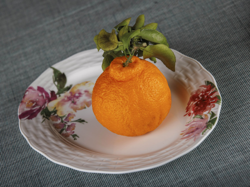 Тарелка керамическая Flowers Line, PLOVER, 25 см