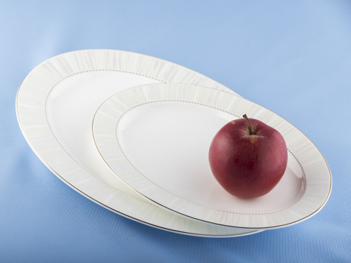 Блюдо для сервировки фарфоровое Moon Line, PLOVER, 25 см