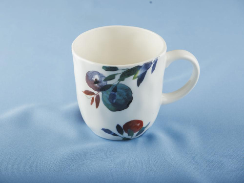 Чашка для чая Fruits Line, PLOVER, 450 мл