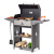 Угольный гриль Gratar Family Optima BBQ Угольный гриль Gratar Family Optima BBQ