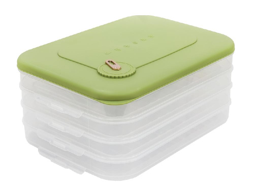 Контейнер с крышкой для хранения и заморозки продуктов на 4 секции, 30х23х14 см, зеленый